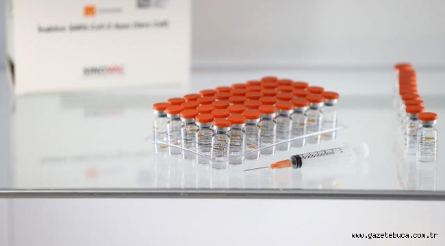 Türkiye'nin aşı haritası erişime açıldı