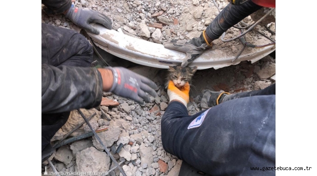 İzmir itfaiyesi 5 bin hayvan kurtardı