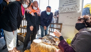 Yok olan atalık tohumlar Can Yücel Tohum Merkezi'nde korunacak
