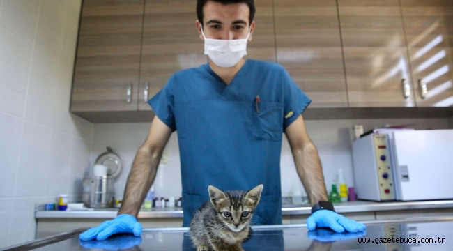 Buca Belediyesi'nden 24 bin can dosta şefkat eli