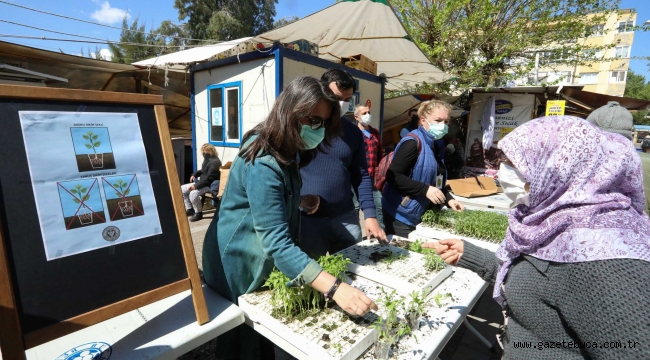 Buca'da balkon tarımı için 100 bin fide