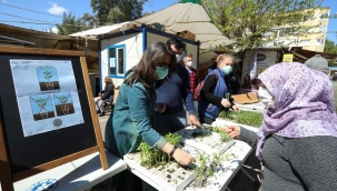 Buca'da balkon tarımı için 100 bin fide