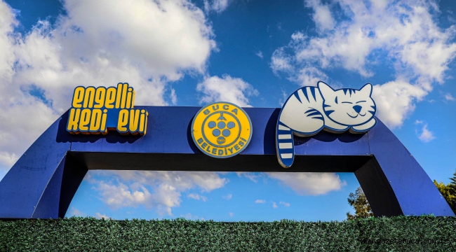 Buca'da engelli kedilere 5 yıldızlı hizmet
