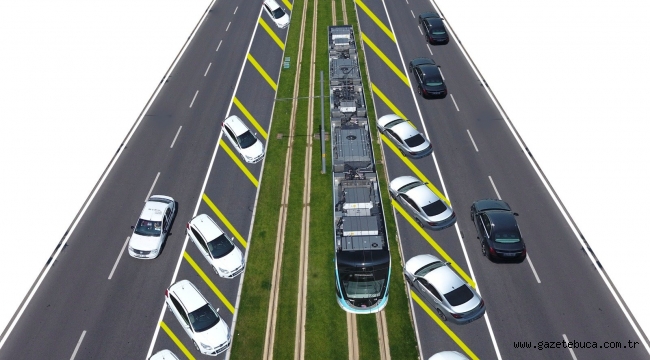 Sökülecek, bakımları yapılacak ve yeniden dikilecekler