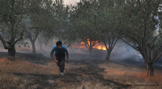 Antalya orman yangını nedeniyle Oymapınar Göleti'nde mahsur kalan 10 kişiyi AFAD ekipleri kurtardı.