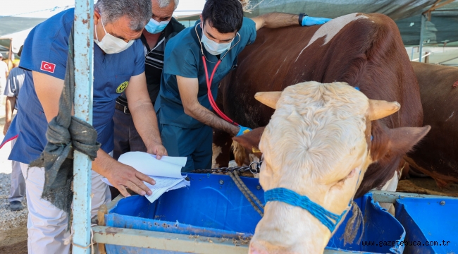 Buca Belediyesi kurbanlık denetimi için sahaya indi