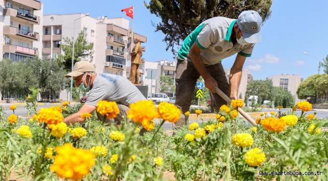 Sokaklarda çiçeklerle renk karnavalı