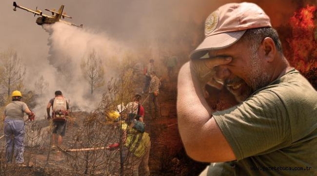 Orman yangınlarıyla mücadele 5 ilde sürüyor
