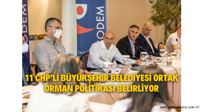 11 CHP'li büyükşehir belediyesi ortak orman politikası belirliyor