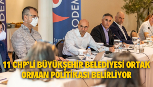 11 CHP'li büyükşehir belediyesi ortak orman politikası belirliyor