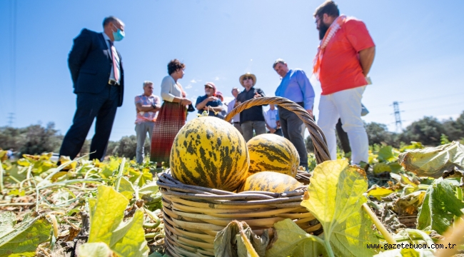 Çeşme kavunu tescillendi