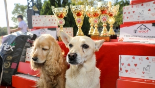 İzmirli hayvanseverler FestPati Buca'da buluştu