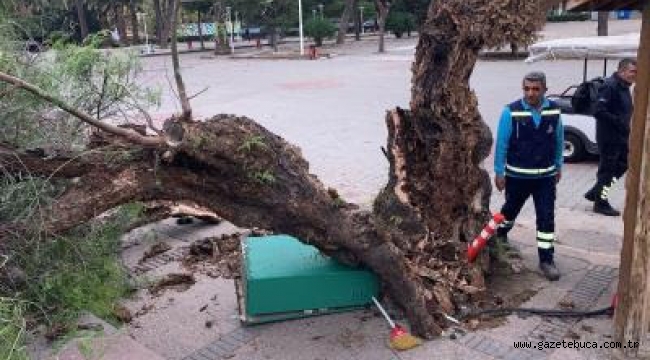 İzmir'de fırtına raporu