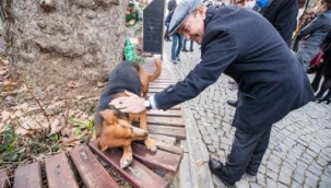 Bu iş birliği Türkiye'ye örnek olacak
