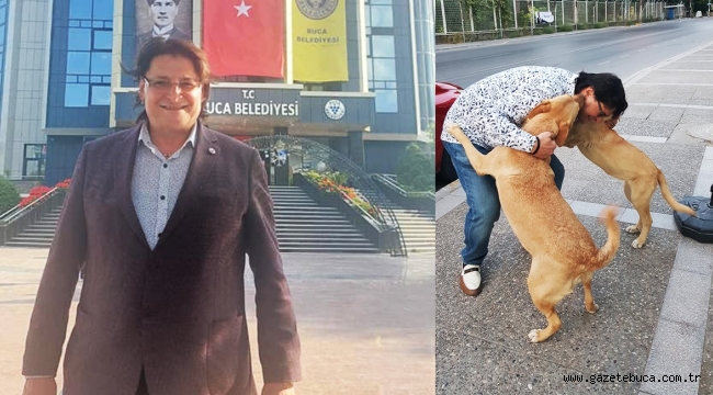 AK Partili İnce'den sokak köpekleri çıkışı