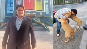 AK Partili İnce'den sokak köpekleri çıkışı