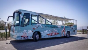 Körfez'in en renkli teknesi ve otobüsü hazır