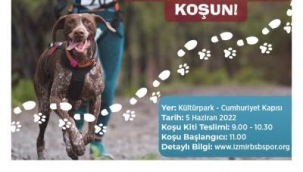 Patili dostlarla rekabetsiz koşu