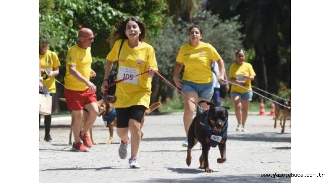 Patili dostlarla koşu