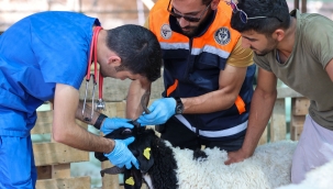 Buca'da bayram öncesi denetim mesaisi