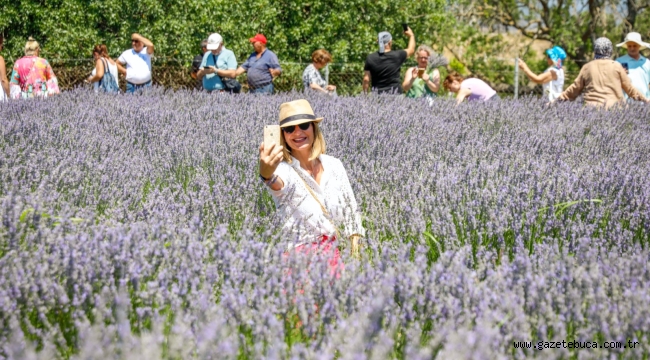 Seferihisar için tarım can damarlarından biridir. 