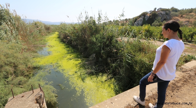 "Kuyu Kurumadan" Su Çalıştayları Devam Ediyor İkinci Durak: Efes Selçuk
