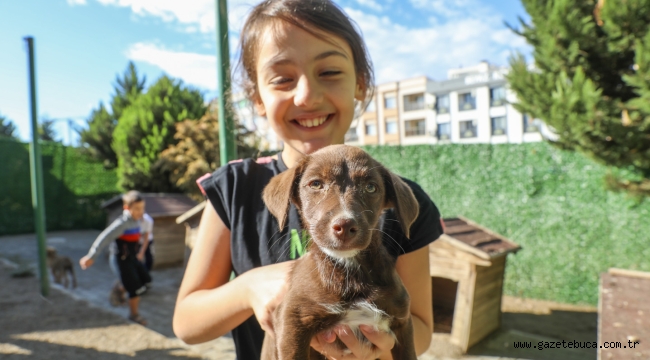 Buca Belediyesi bir gün değil her gün can dostlarının yanında
