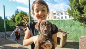 Buca Belediyesi bir gün değil her gün can dostlarının yanında