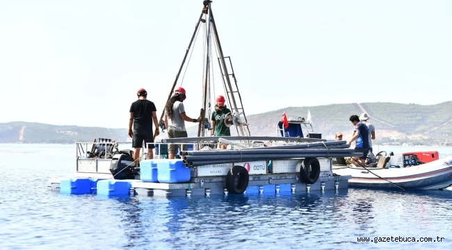 İzmir Körfezi'ndeki faylar mercek altında
