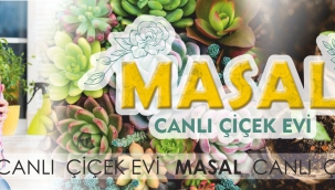 MASAL CANLI ÇİÇEK EVİ