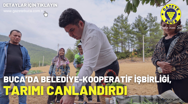 Buca'da Belediye-Kooperatif işbirliği, tarımı canlandırdı