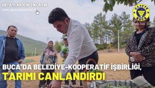 Buca'da Belediye-Kooperatif işbirliği, tarımı canlandırdı