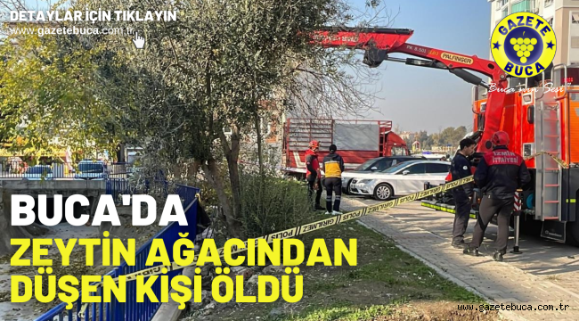 Buca'da zeytin ağacından düşen kişi öldü