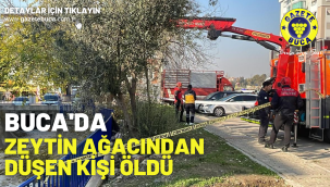 Buca'da zeytin ağacından düşen kişi öldü