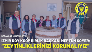 İzmir Köy Koop Birlik Başkanı Neptün Soyer: "Zeytinliklerimizi korumalıyız"