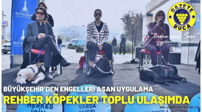 Rehber köpekler toplu ulaşımda