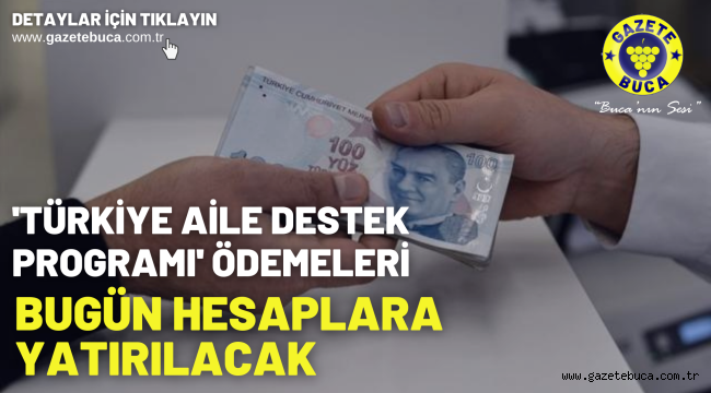 'Türkiye Aile Destek Programı' ödemeleri bugün hesaplara yatırılacak