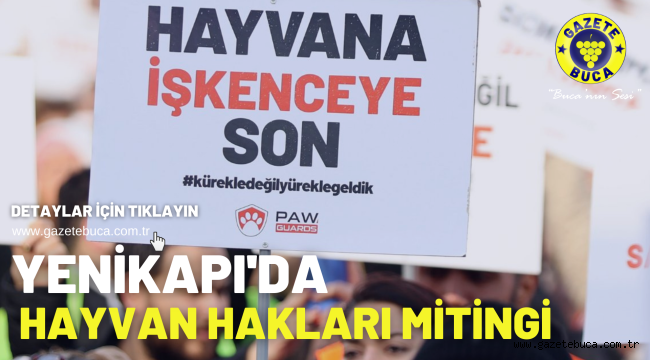 Yenikapı'da hayvan hakları mitingi