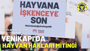 Yenikapı'da hayvan hakları mitingi