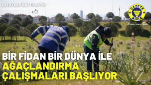Bir Fidan Bir Dünya ile ağaçlandırma çalışmaları başlıyor
