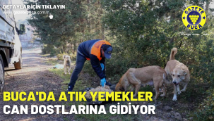 Buca'da atık yemekler can dostlarına gidiyor