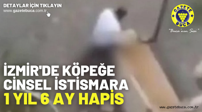 İzmir'de köpeğe cinsel istismara 1 yıl 6 ay hapis