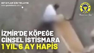 İzmir'de köpeğe cinsel istismara 1 yıl 6 ay hapis