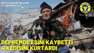 Depremde eşini kaybetti 4 kedisini kurtardı