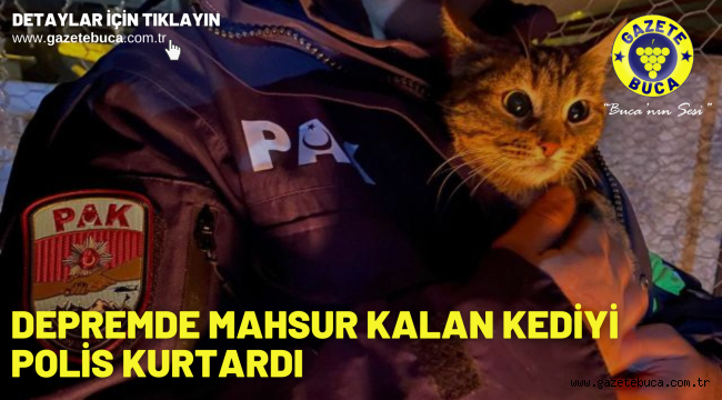 Depremde mahsur kalan kediyi polis kurtardı
