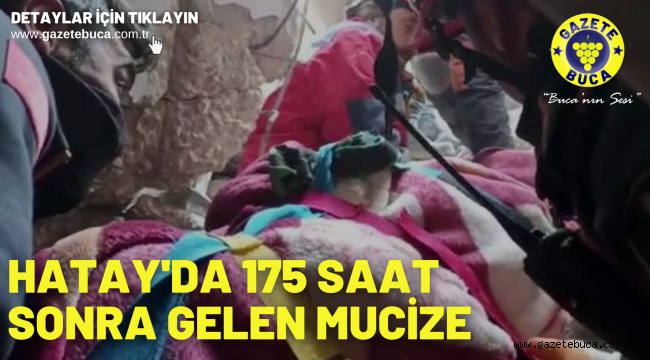 Hatay'da 175 saat sonra gelen mucize