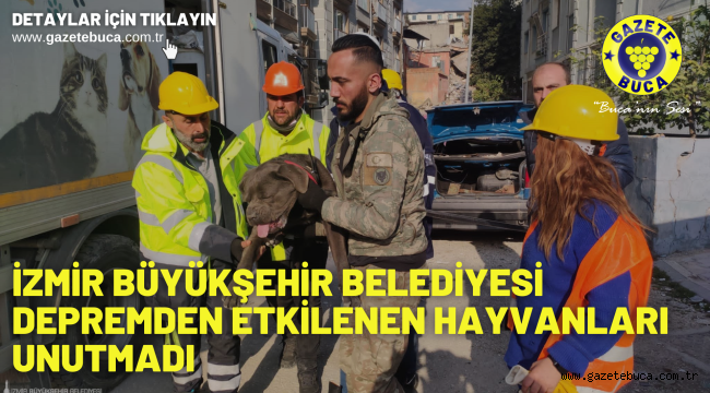 İzmir Büyükşehir Belediyesi depremden etkilenen hayvanları unutmadı