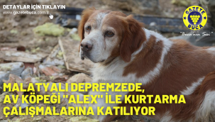 Malatyalı depremzede, av köpeği "Alex" ile kurtarma çalışmalarına katılıyor