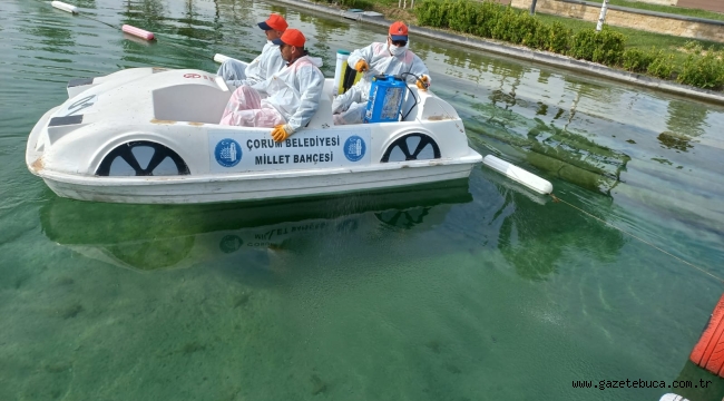 Belediye, vektör ile mücadelede hız kesmiyor