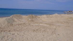 DÜNYACA ÜNLÜ SARIMSAKLI'NIN PLAJ KUMLARINA YAZIK OLUYOR